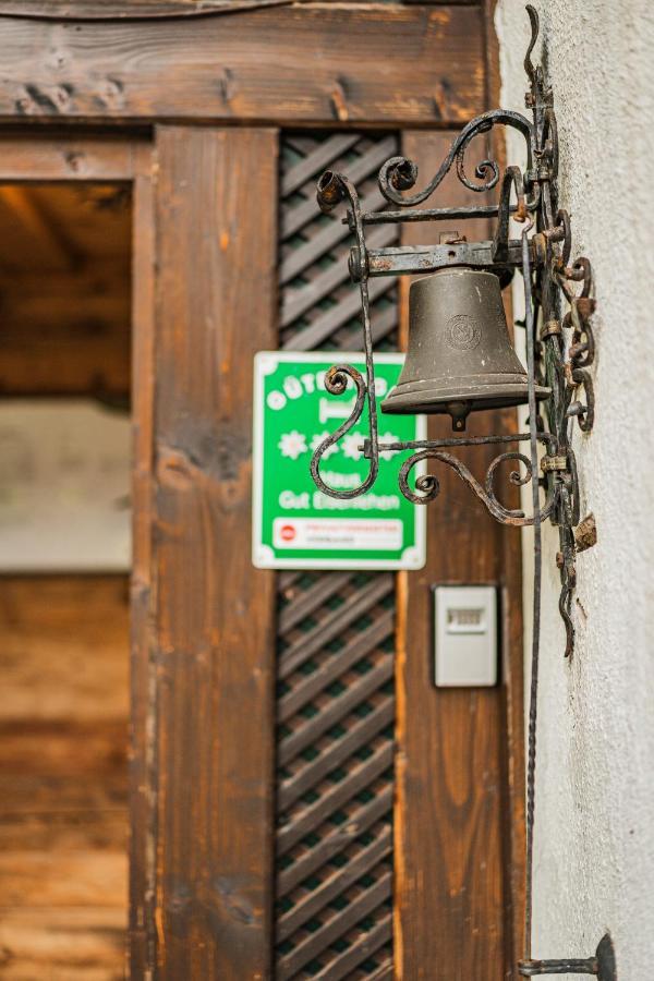バート・ゴイーザーン Ferienhaus Gut - Eisenlehenヴィラ エクステリア 写真