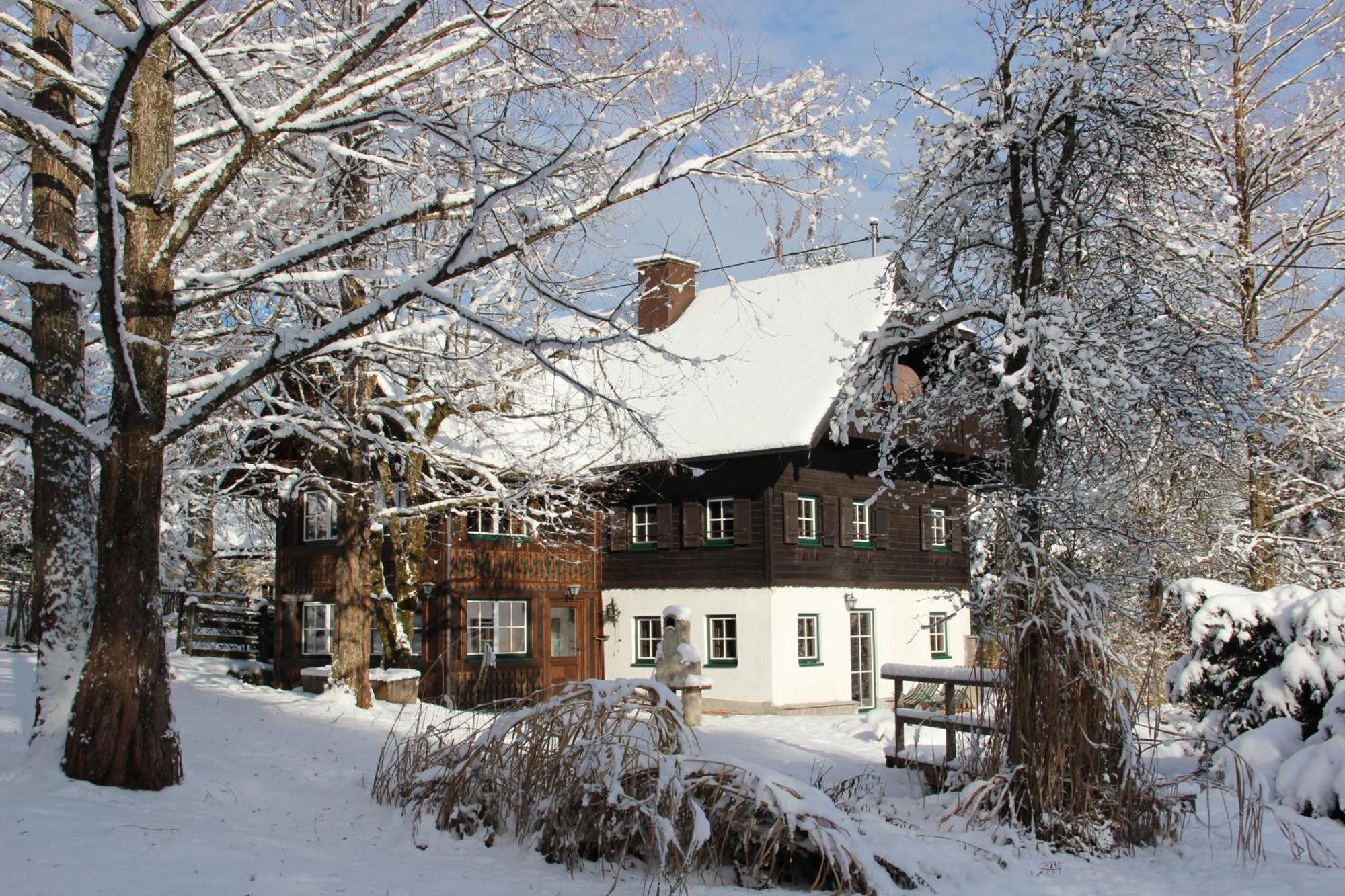 バート・ゴイーザーン Ferienhaus Gut - Eisenlehenヴィラ エクステリア 写真
